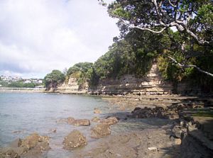 Image of northshorecoast06lbeforemurraysbay.jpg