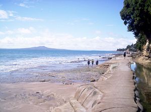 Image of northshorecoast06nmairangipipeline.jpg