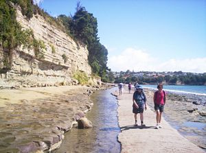 Image of northshorecoast06omairangipipeline.jpg