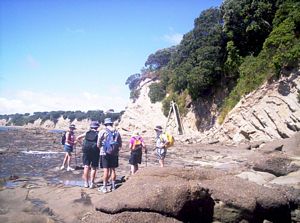 Image of northshorecoast06ppastcampbellsbay.jpg