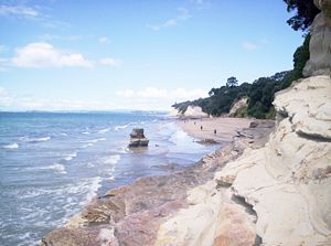 Image of northshorecoast06zgstleonardsbeach.jpg