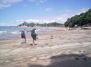 Image of northshorecoast06zistleonardsbeach.jpg