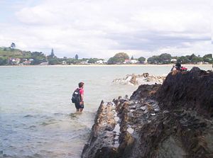 Image of northshorecoast06zkwading.jpg