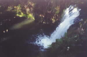 Image of oakleyfallstopq.jpg