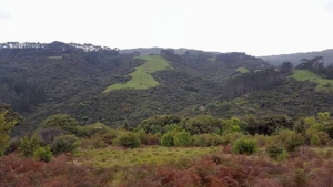 Image of odlinssep17a.jpg