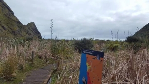 Image of odlinssep17e.jpg