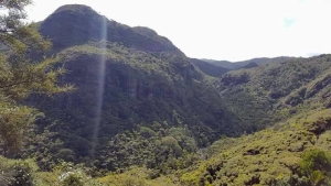 Image of odlinssep17f.jpg