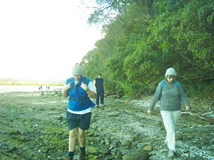 Image of okura04foreshore.jpg