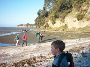 Image of okura04headingback.jpg