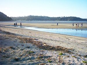 Image of okura04headingback2.jpg