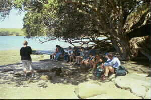 Image of okurabeachshelterq.jpg