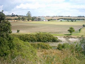 Image of omana05kellysbeachpark.jpg