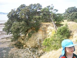 Image of omana05lookoutpointcliffs.jpg