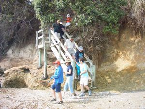 Image of omana05motukarakagoldenstairs.jpg