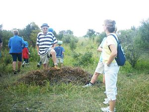 Image of omana05motukarakatop.jpg