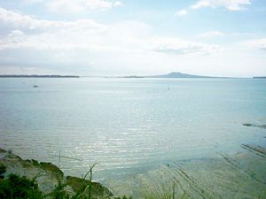 Image of omana05motukarakaviewrangitoto.jpg