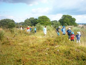 Image of omana05motukarakawalking.jpg