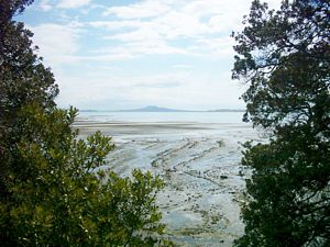 Image of omana05pastlookoutpointrangitoto.jpg