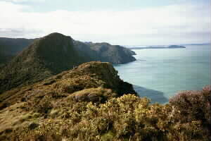 Image of omanawanuicoastq.jpg