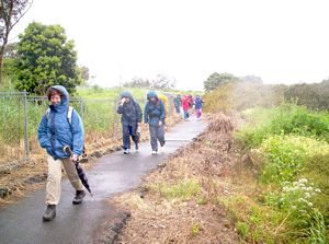 Image of onehunganov07afetrack.jpg