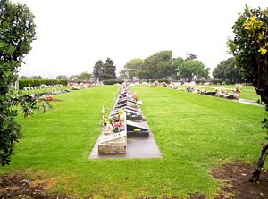 Image of onehunganov07apcemetery.jpg