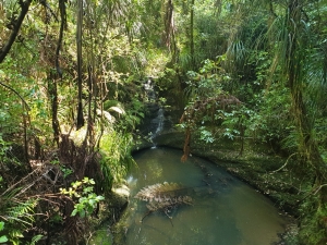 Image of onepoto19c.jpg