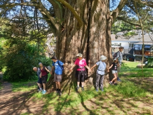 Image of onepoto19e.jpg