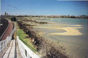 Image of onepotocityofcorkq.jpg