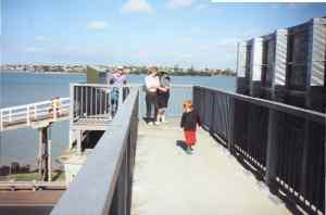 Image of onepotokinkq.jpg