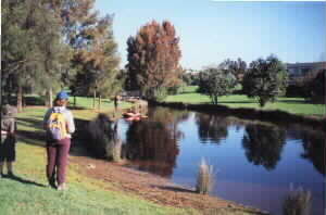 Image of onepotoriversideq.jpg