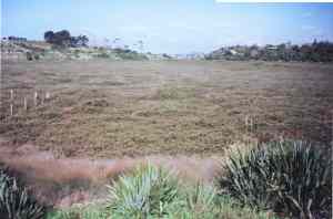 Image of onepototuffcraterq.jpg