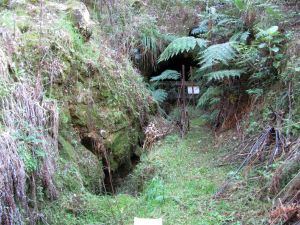 Image of opouterejul11femine.jpg