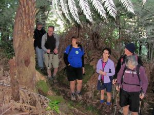 Image of opouterejul11kgjunction.jpg