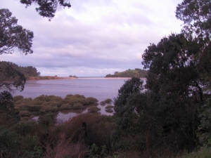 Image of opouterejun15fri 017.jpg