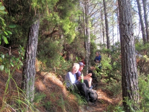 Image of opouterejun15img_2327.jpg