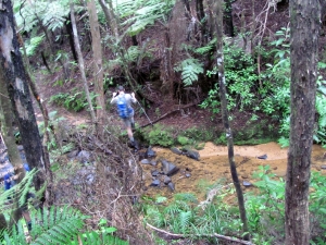 Image of opouterejun15sat 028.jpg