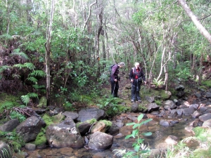 Image of opouterejun15sat 039.jpg