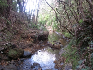 Image of opouterejun15sat 044.jpg