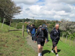 Image of orakeimar11aktrack.jpg