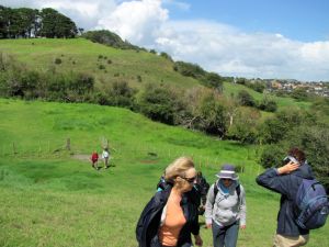 Image of orakeimar11artrack.jpg