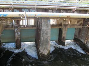 Image of orakeimar11bffloodgates.jpg