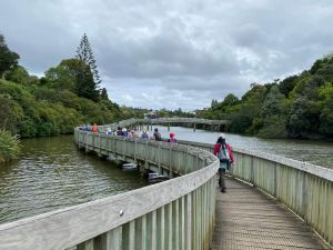 Image of orakeinov22q.jpg