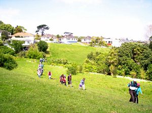 Image of orakeioct06etakaparawha.jpg