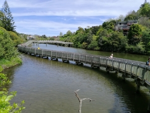 Image of orakeioct19c.jpg