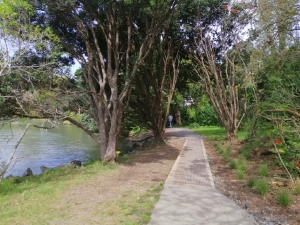 Image of orakeioct19e.jpg