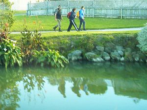 Image of orewa04lake3tailendsreflection.jpg