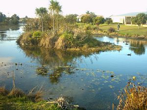 Image of orewa04lakeisland.jpg