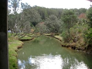 Image of orewa10dastream.jpg