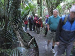 Image of orewa10ectrack.jpg