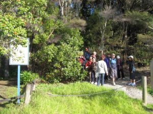 Image of orewa10fbgang.jpg